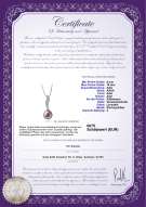 Product certificate: FW-L-AAA-910-P-Clementina